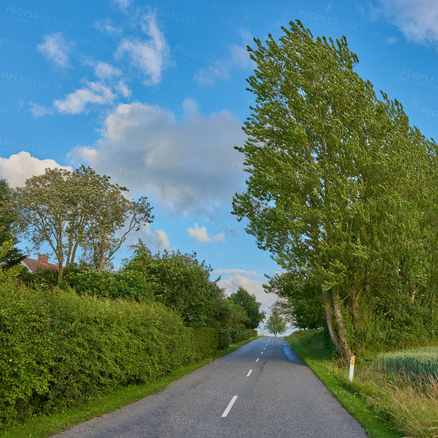 Buy stock photo Nature photos from Denmark