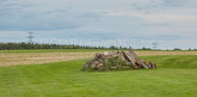 Buy stock photo Chopped tree logs stacked in the forest with copy space. Deforestation of a rustic landscape with stumps of firewood outside. Collecting dry timber and split hardwood material for the lumber industry