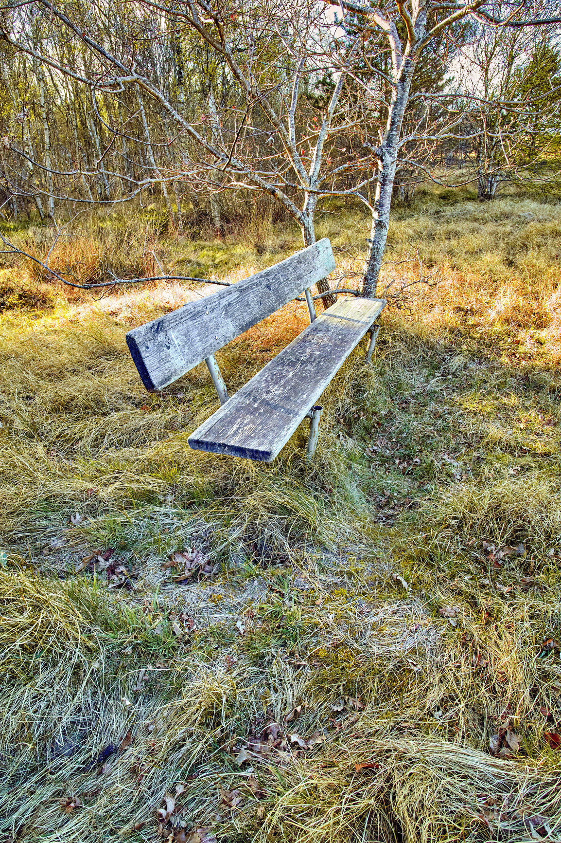 Buy stock photo Nature photos from Denmark