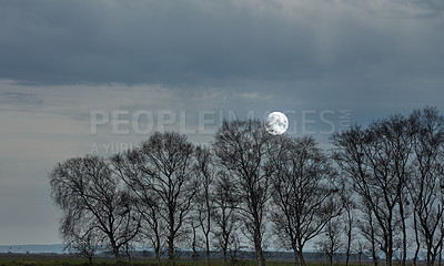 Buy stock photo Nature photos from Denmark