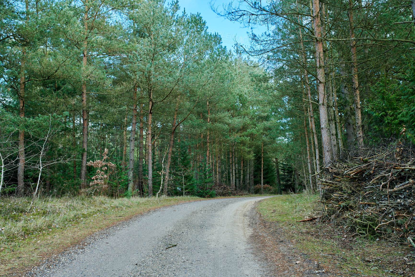 Buy stock photo Nature photos from Denmark