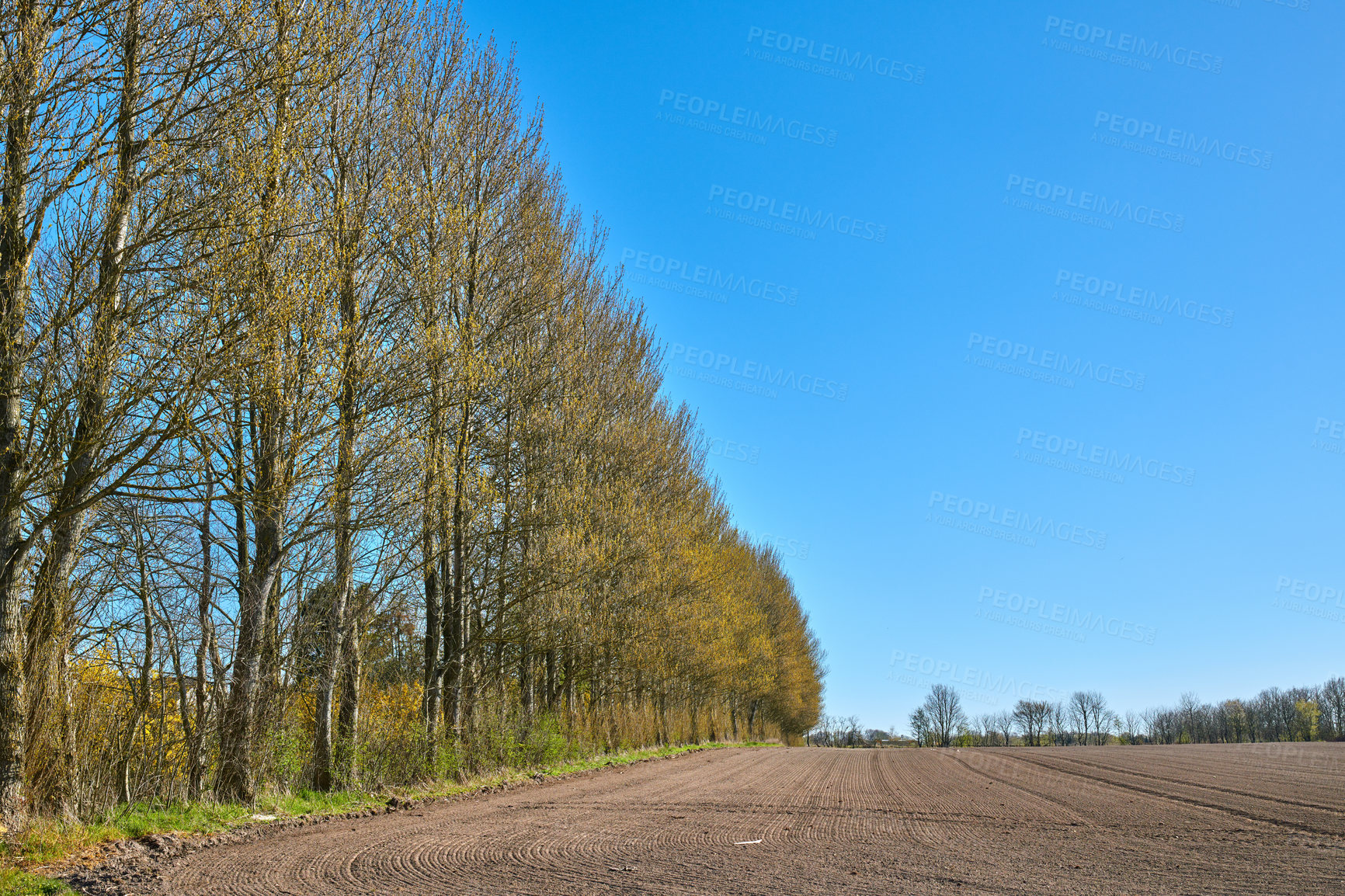 Buy stock photo Nature photos from Denmark