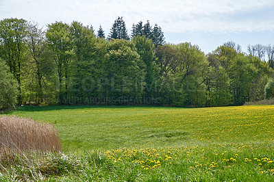 Buy stock photo Nature photos from Denmark