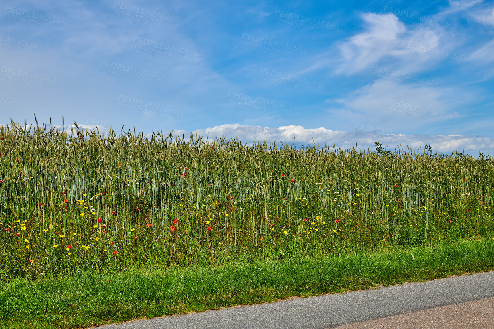 Buy stock photo Nature photos from Denmark