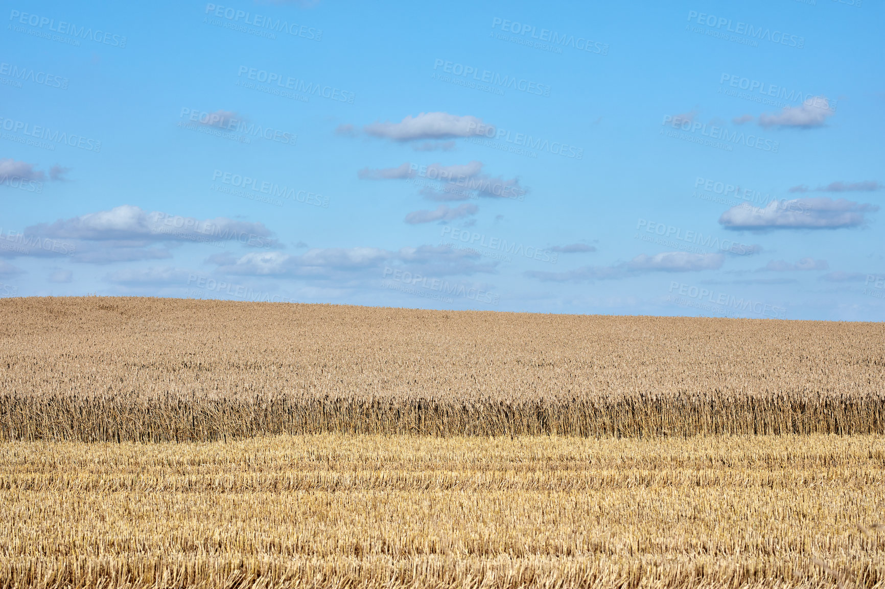 Buy stock photo Nature photos from Denmark