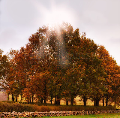 Buy stock photo Nature photos from Denmark