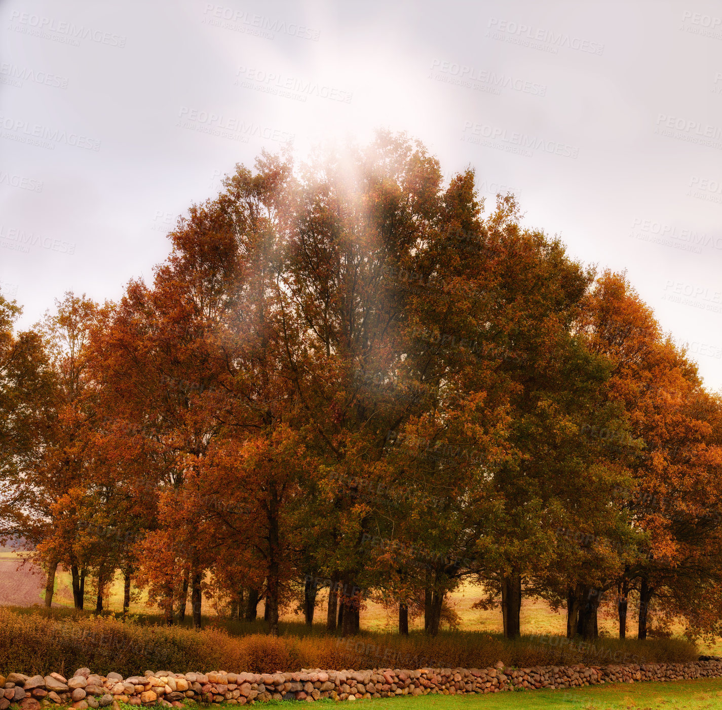 Buy stock photo Nature photos from Denmark