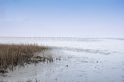 Buy stock photo Nature photos from Denmark