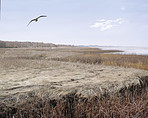 East coast of Jutland,  Denmark