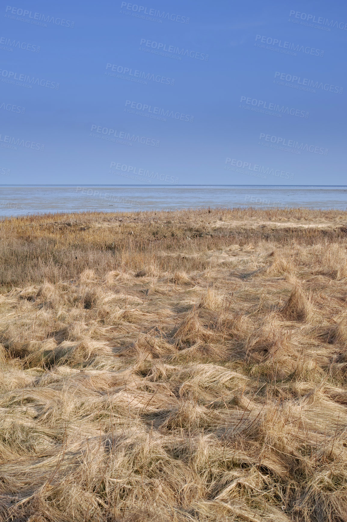 Buy stock photo Nature photos from Denmark