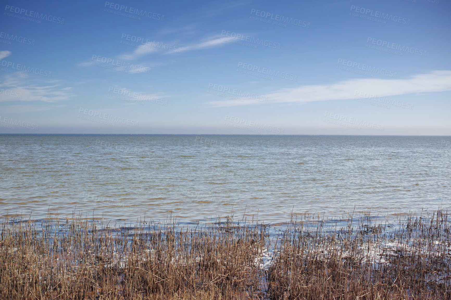 Buy stock photo Nature photos from Denmark