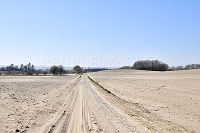 Buy stock photo View of trees on a sandy farm with clear blue sky copy space in Autumn. Nature landscape of a dry bush tree branches growing near uncultivated soil or barren land, East Coast of Jutland, Denmark