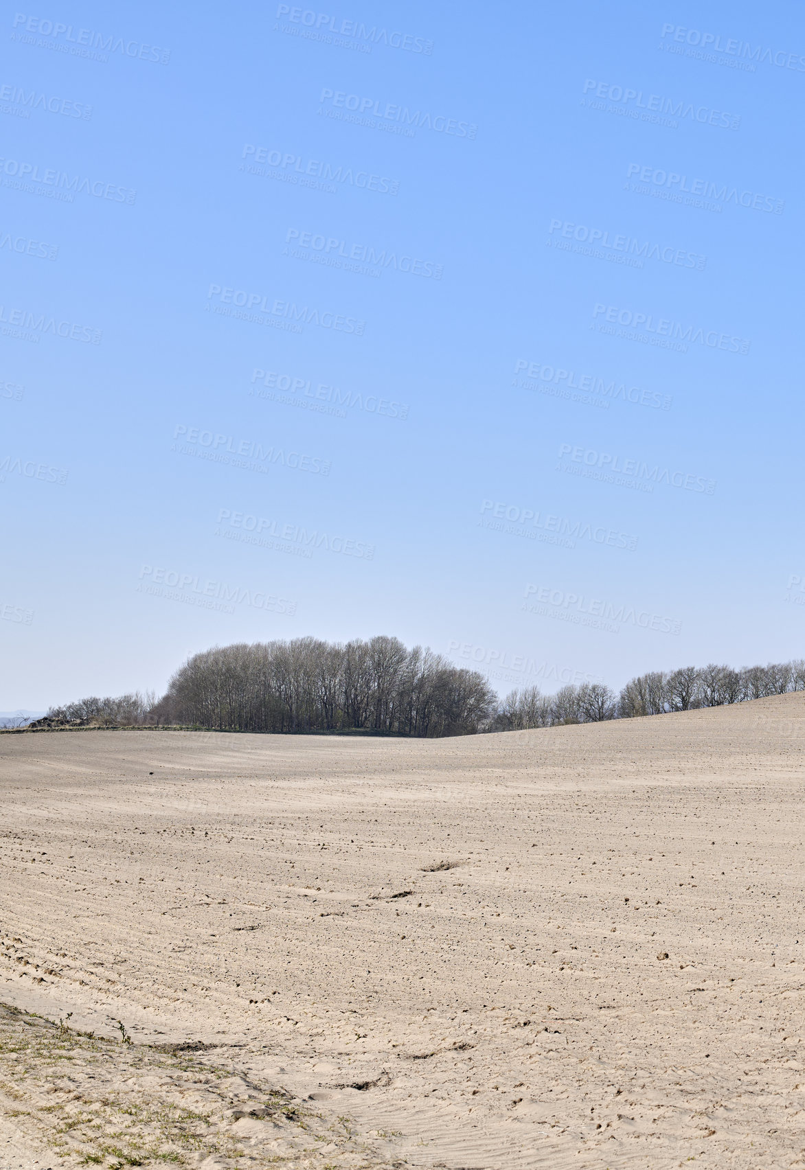 Buy stock photo Barren farm land with trees and blue sky background. A desolate agricultural farmland caused by summer heat droughts and impact on agriculture industry. Open and empty dry sand field with copy space