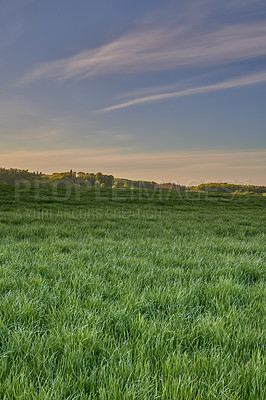 Buy stock photo Nature photos from Denmark