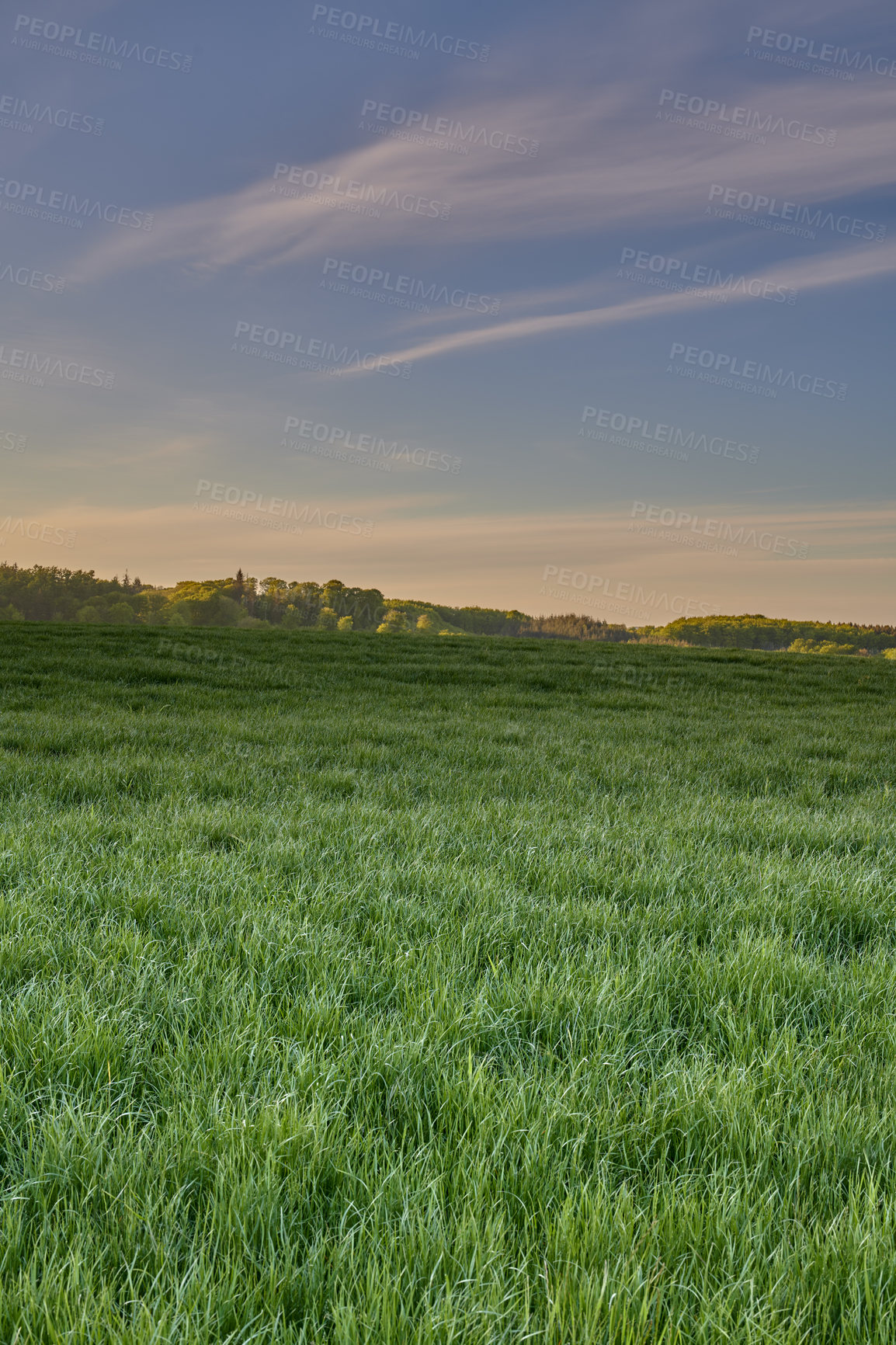 Buy stock photo Nature photos from Denmark