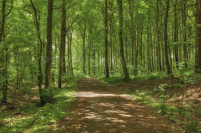 Buy stock photo Nature photos from Denmark