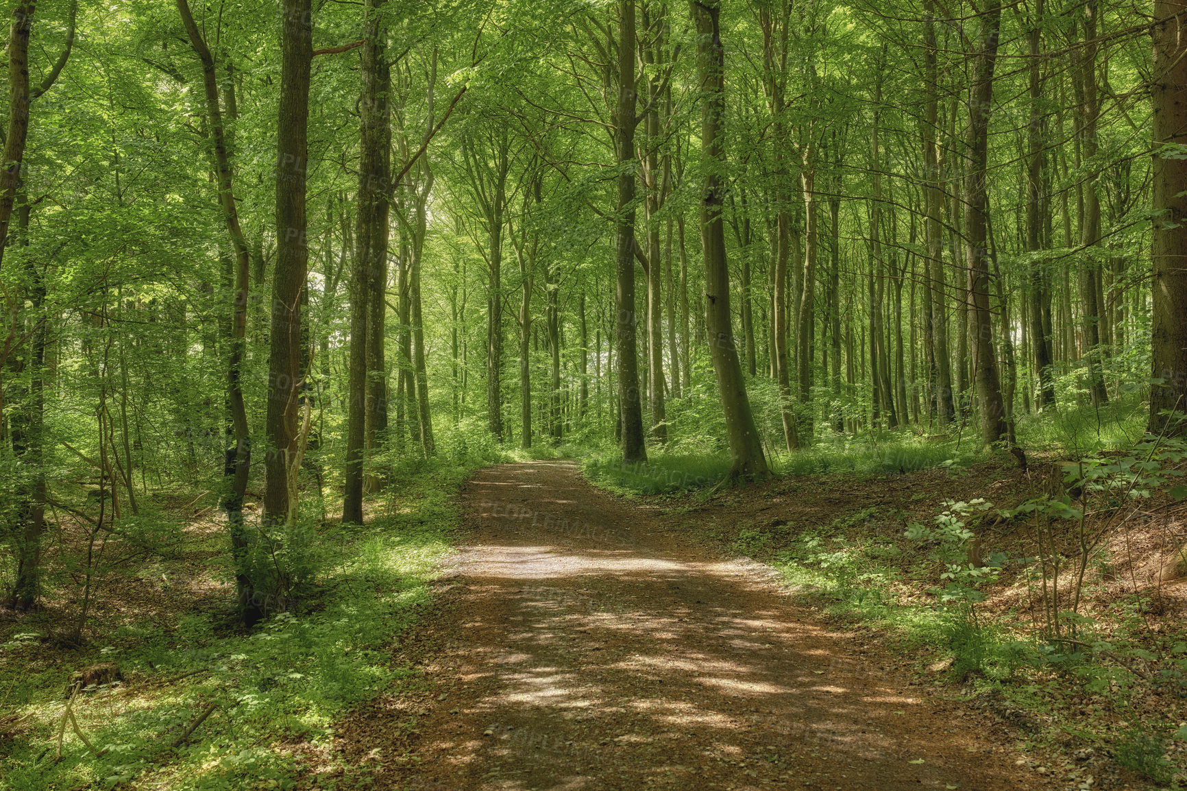 Buy stock photo Nature photos from Denmark