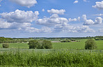 Photos from Denmark