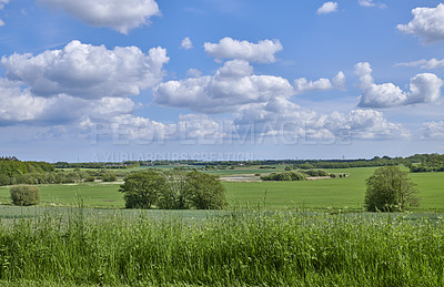 Buy stock photo Nature photos from Denmark