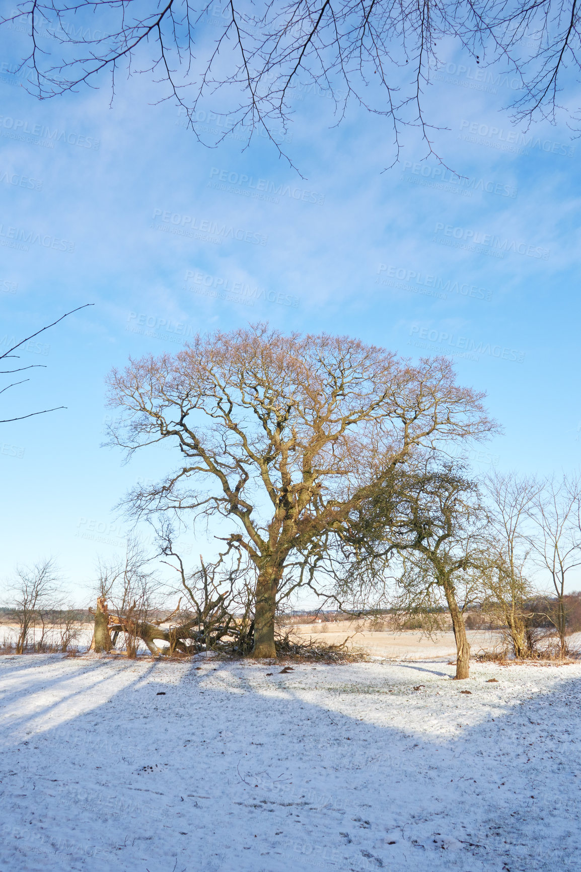 Buy stock photo Winter landscape on a sunny day with blue sky