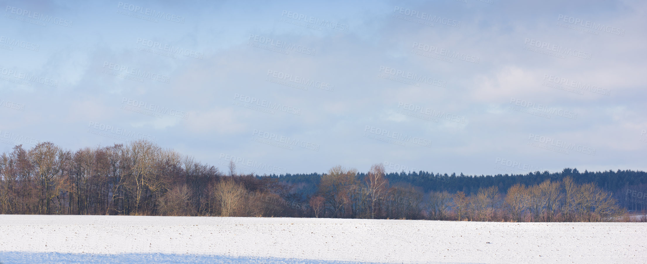 Buy stock photo Winter landscape on a sunny day with blue sky