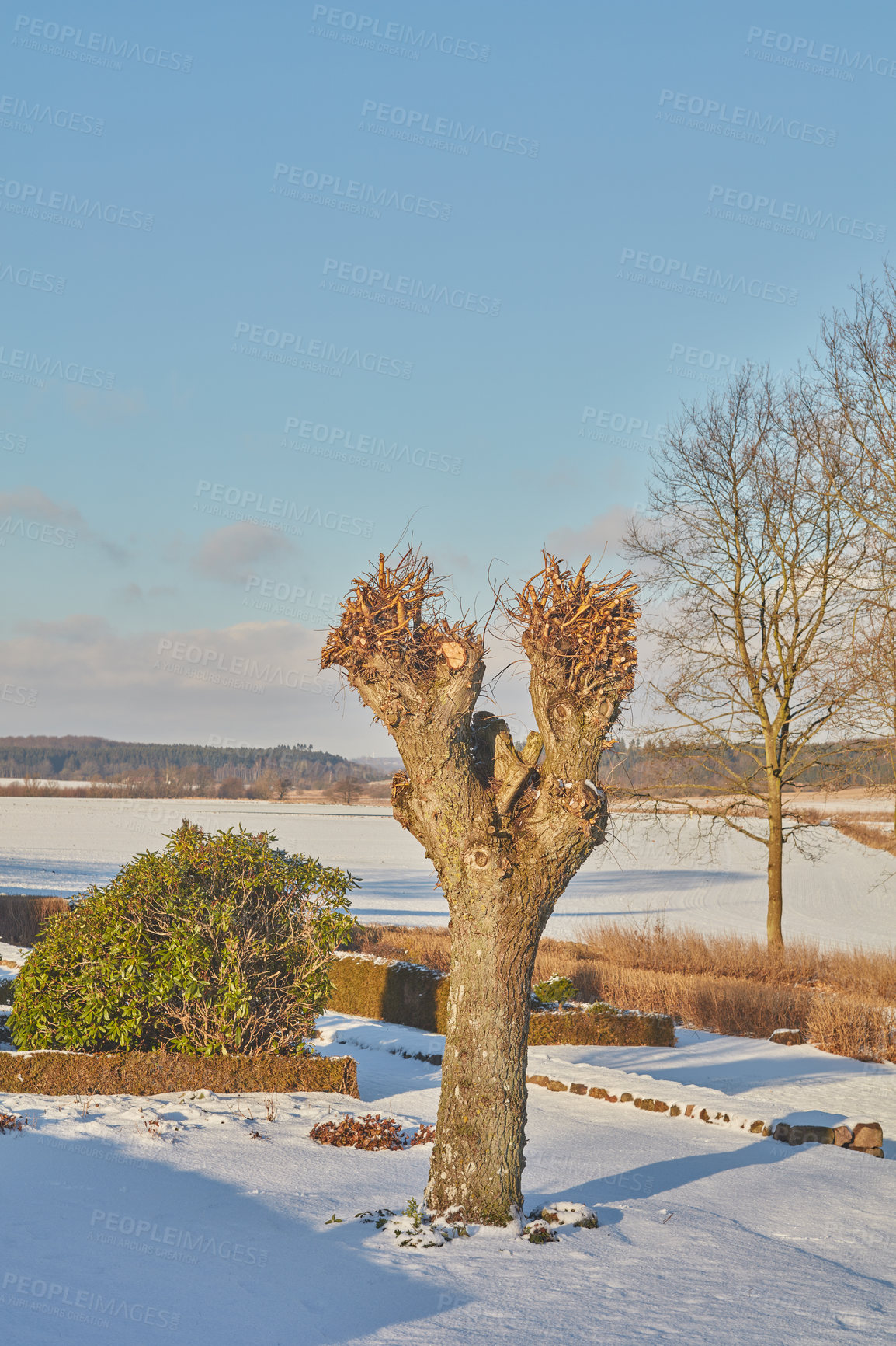 Buy stock photo Winter landscape on a sunny day with blue sky