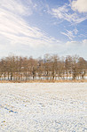 Wintertime - countryside in Denmark