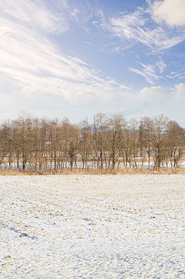 Buy stock photo Winter landscape on a sunny day with blue sky