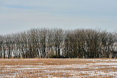 Buy stock photo Winter landscape on a sunny day with blue sky