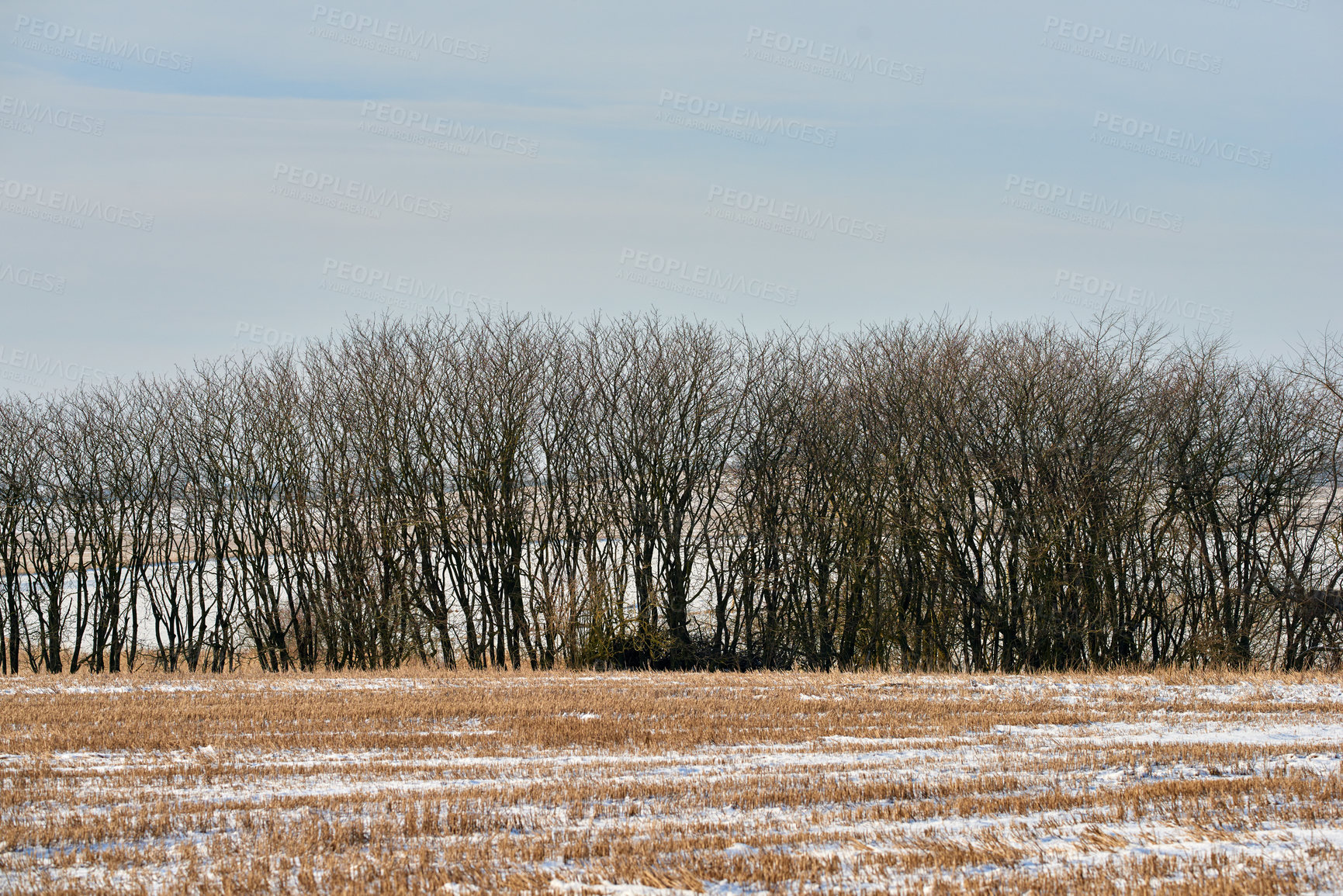 Buy stock photo Winter landscape on a sunny day with blue sky