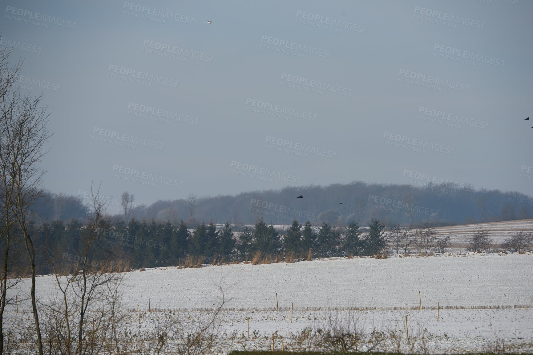 Buy stock photo Winter landscape on a sunny day with blue sky