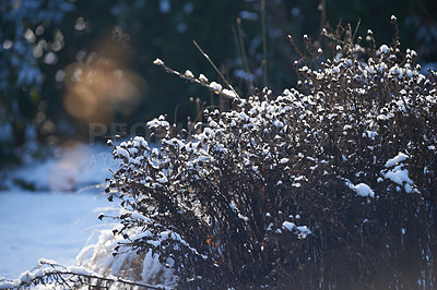 Buy stock photo Winter landscape on a sunny day with blue sky