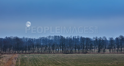 Buy stock photo Winter landscape on a sunny day with blue sky