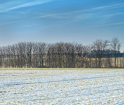 Buy stock photo Winter landscape on a sunny day with blue sky