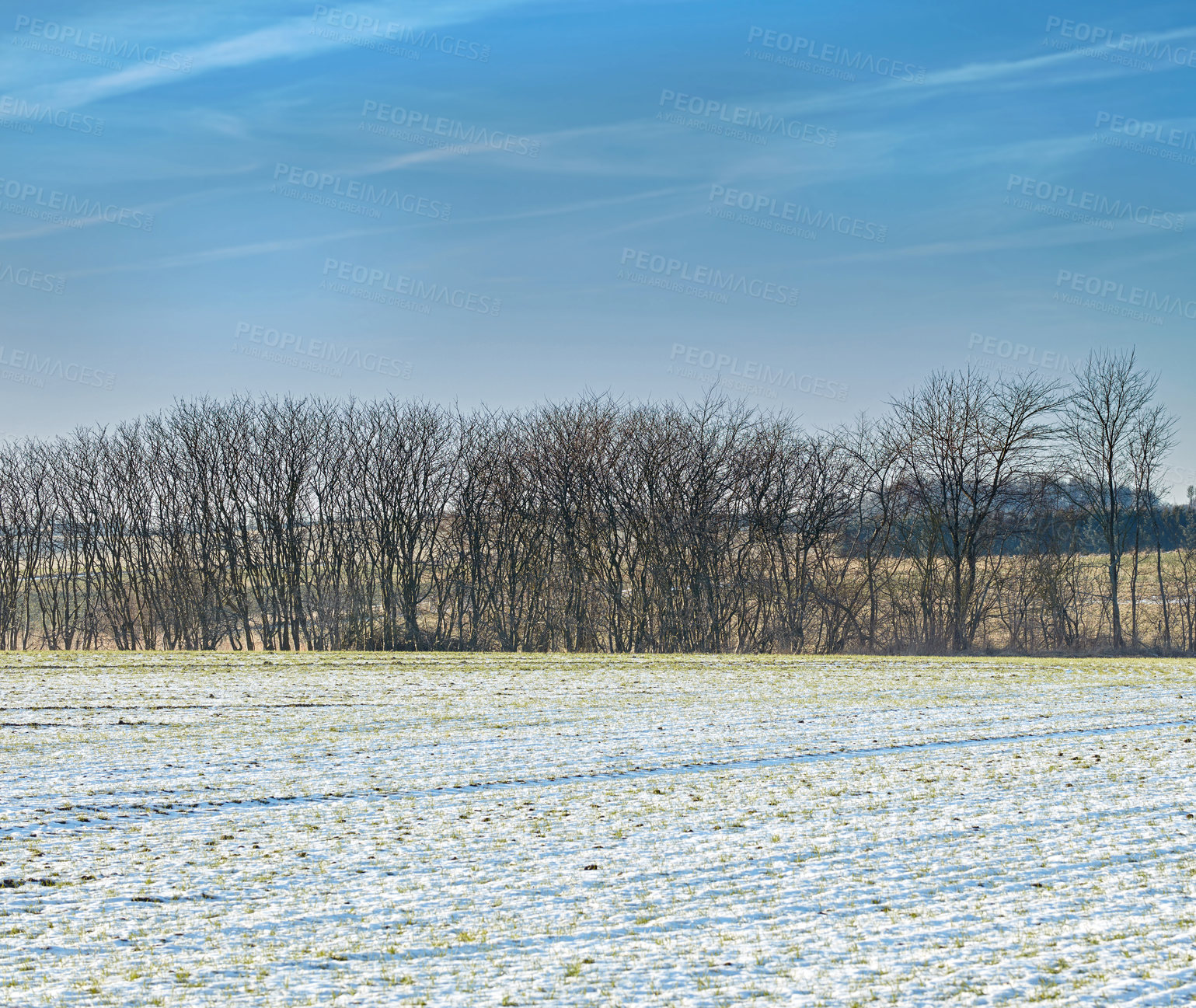 Buy stock photo Winter landscape on a sunny day with blue sky