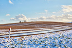 Wintertime - countryside in Denmark