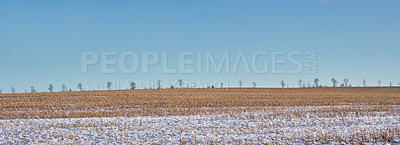 Buy stock photo Winter landscape on a sunny day with blue sky