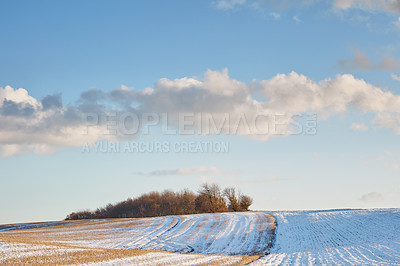 Buy stock photo Winter landscape on a sunny day with blue sky