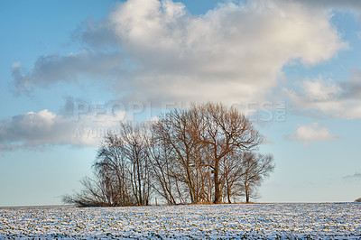 Buy stock photo Winter landscape on a sunny day with blue sky