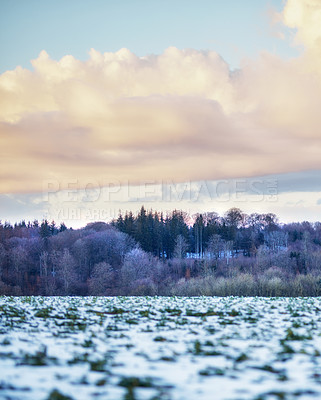 Buy stock photo Winter landscape on a sunny day with blue sky