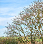 Countryside in autumn
