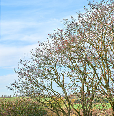 Buy stock photo A photo of farmland in autumn