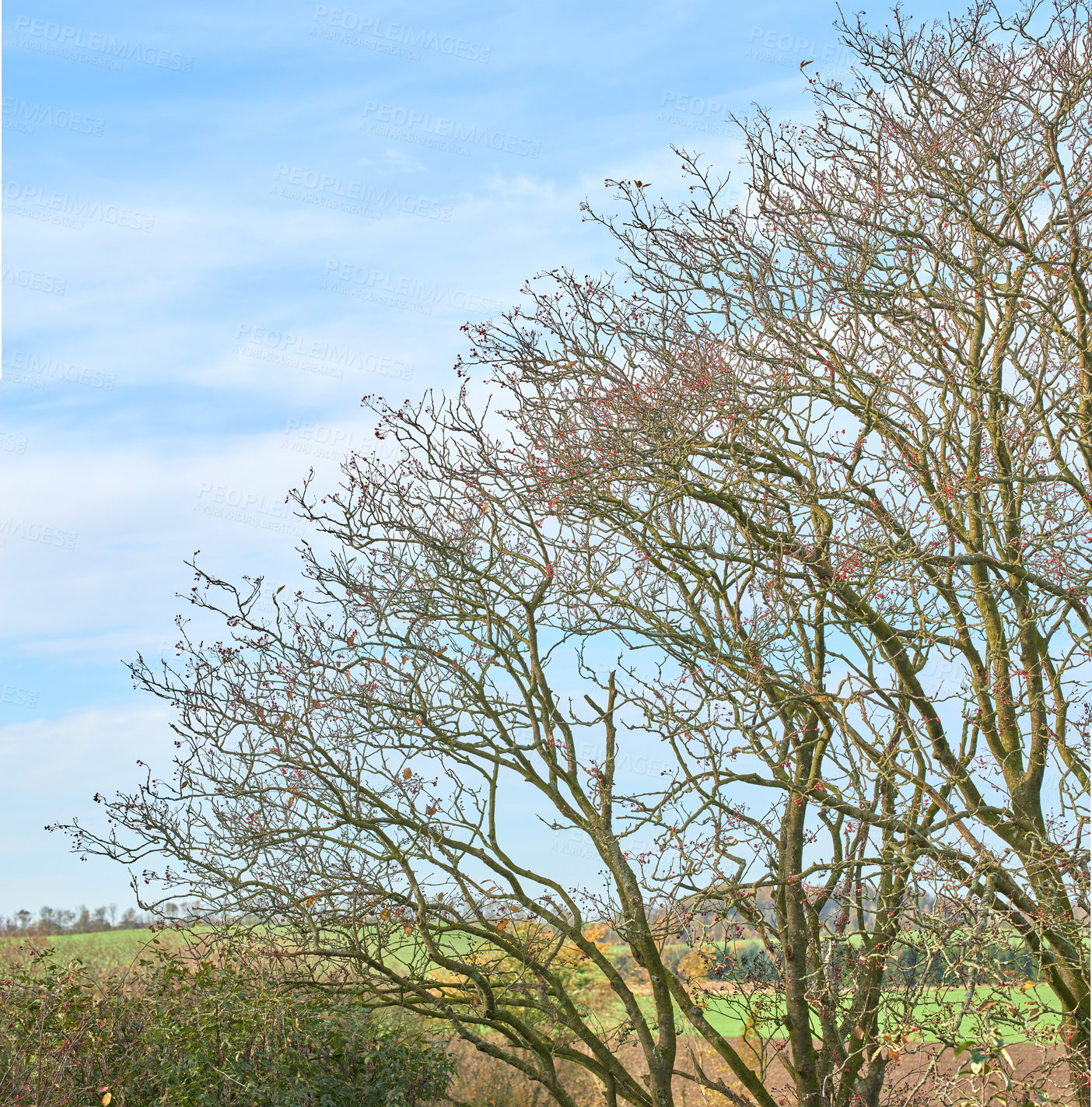 Buy stock photo A photo of farmland in autumn