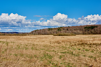 Buy stock photo A photo of farmland in autumn