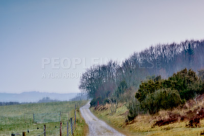 Buy stock photo A road in a foggy atmosphere at a farm on a summer morning. The landscape of a dirt roadway near lush green plants, grass and trees on a misty spring afternoon with copy space