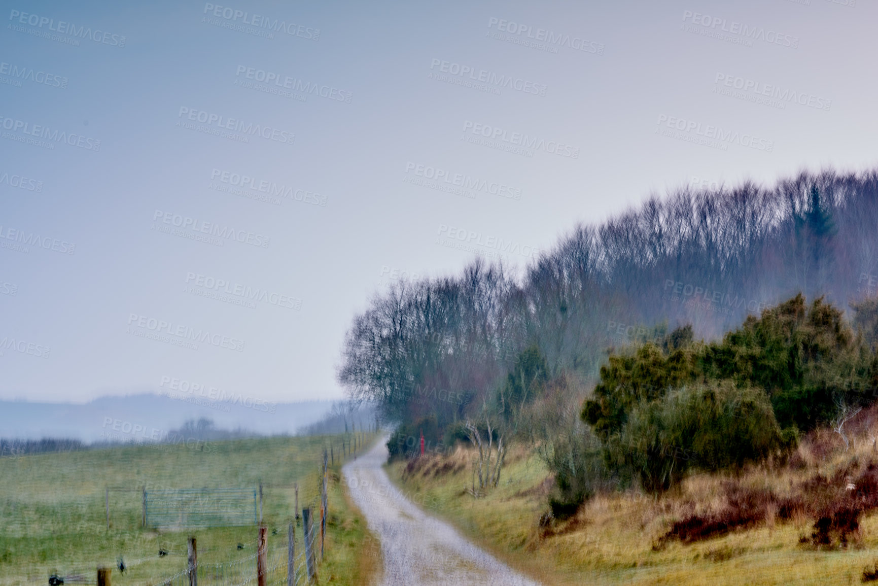 Buy stock photo A road in a foggy atmosphere at a farm on a summer morning. The landscape of a dirt roadway near lush green plants, grass and trees on a misty spring afternoon with copy space