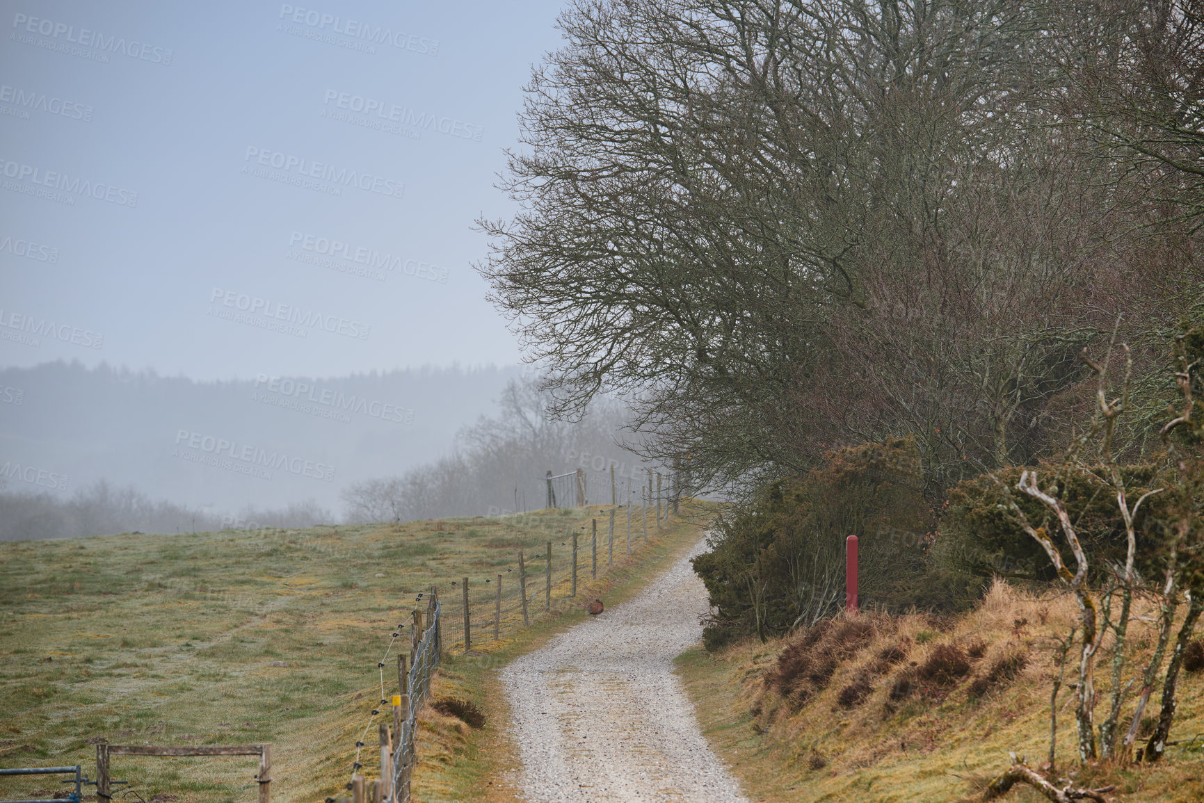 Buy stock photo A countryside dirt road leading to agriculture fields or farm pasture in remote area during early morning with fog or mist. Landscape view of quiet, scenery and mystical farming meadows in Germany