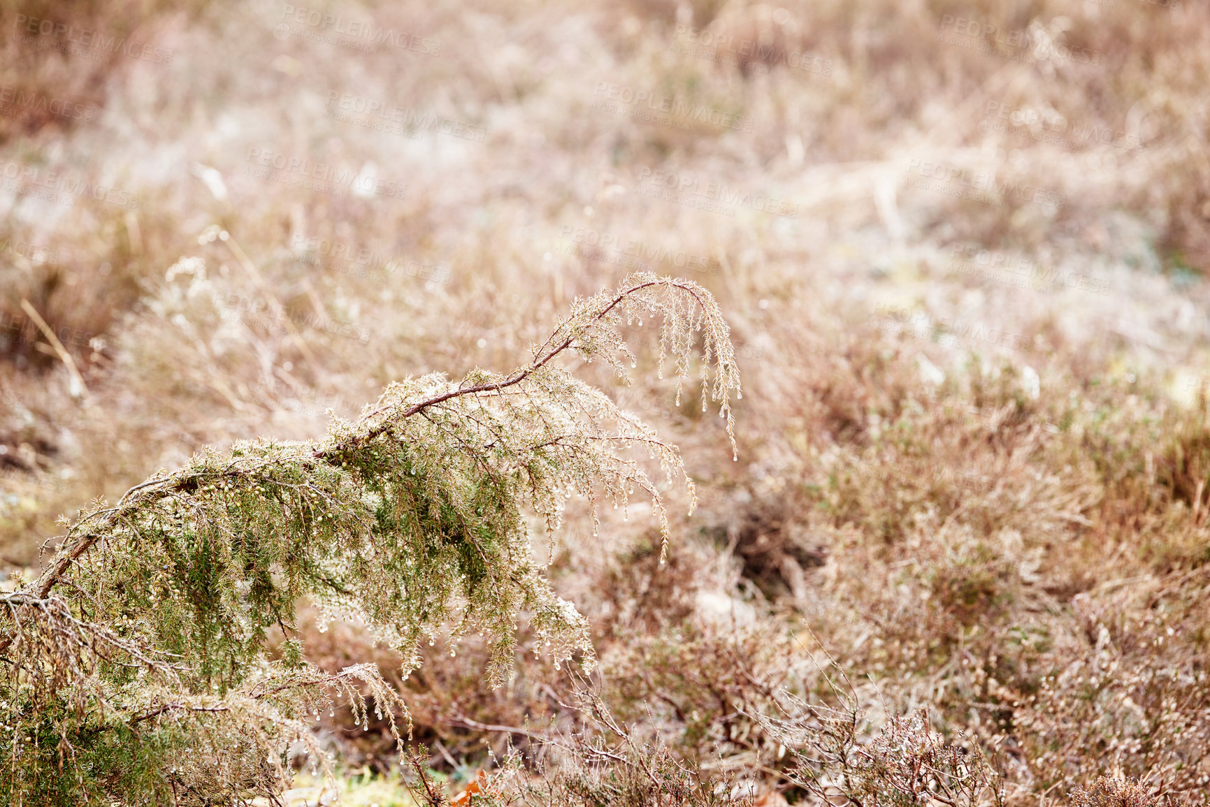 Buy stock photo A photo of farmland in autumn