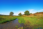 Countryside in autumn