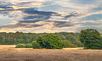 Countryside in autumn